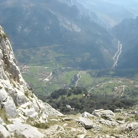 El Agero *